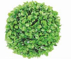 Barbus Растение ШАР зелёное